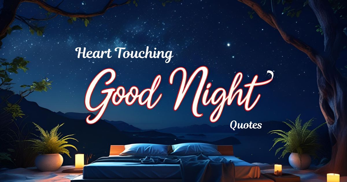 Heart Touching Good Night quotes